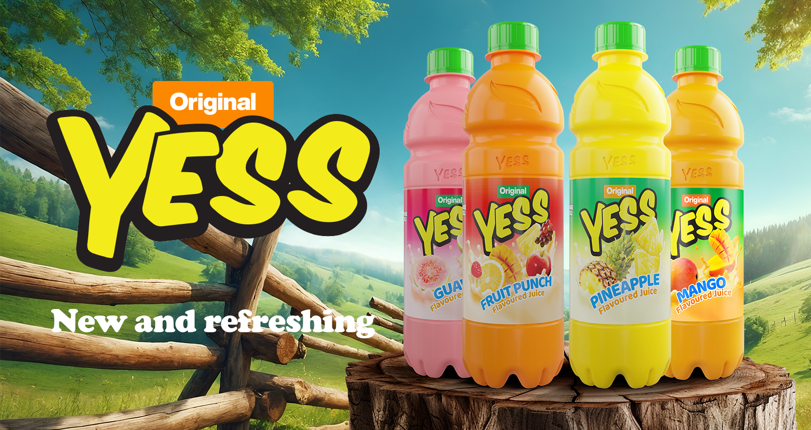 Refresh Your Experience
